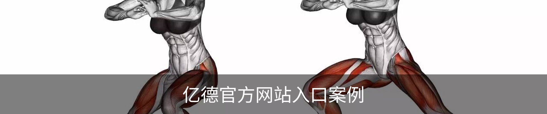 亿德官方网站入口案例