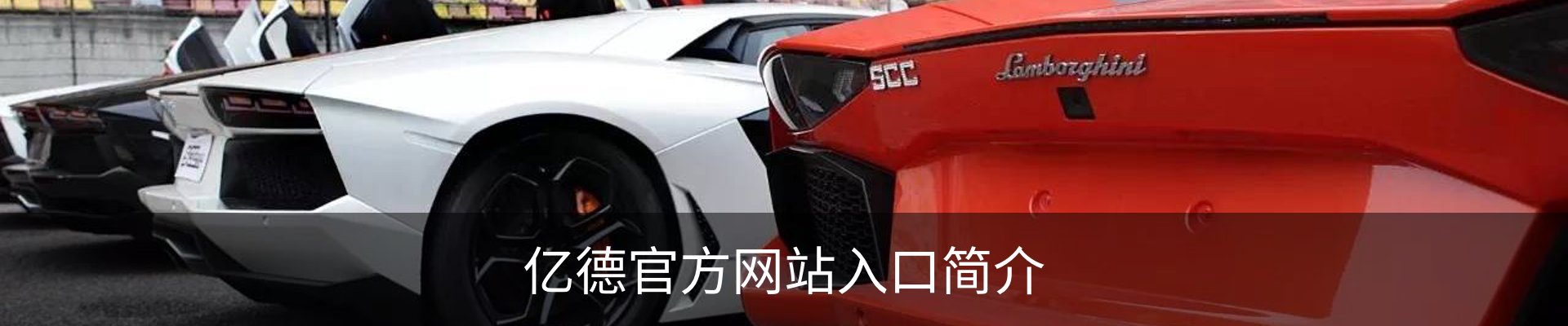 亿德官方网站入口简介